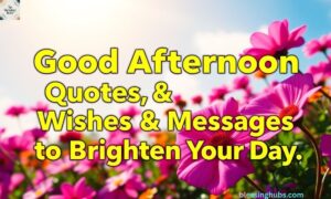 90+ Good Afternoon Quotes, Wishes & Messages to Brighten Your Day