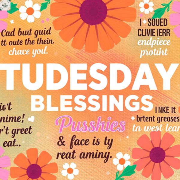 8. Tuesday Blessings Quotes and Sayings You’ll Love to Share